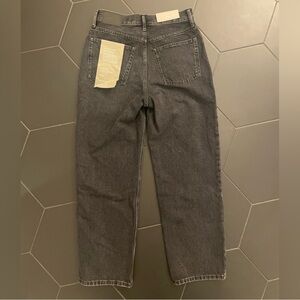 Everlane Rigid Way High Jean